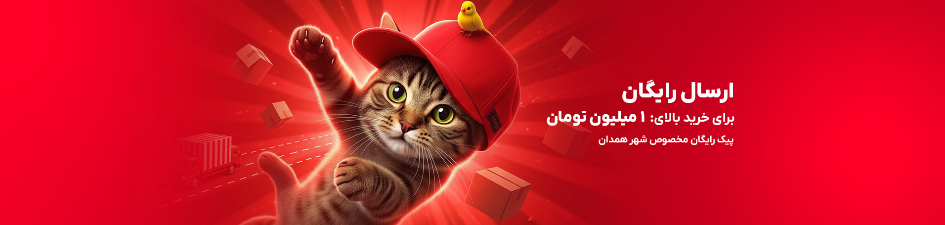 ارسال رایگان