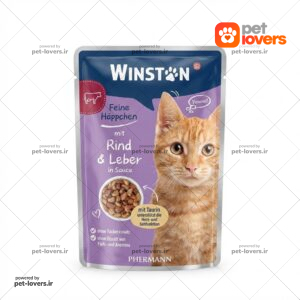 پوچ گربه وینستون با طعم گوشت در سس ژله ای وزن 100 گرم