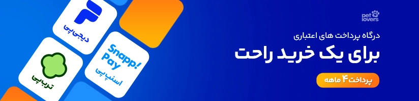 جستجو