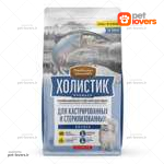 غذا خشک گربه عقیم کت فست با طعم سالمون وزن 2 کیلوگرم
