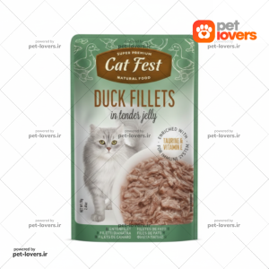 پوچ گربه طعم فیله اردک کت فست Cat Fest وزن 70 گرم