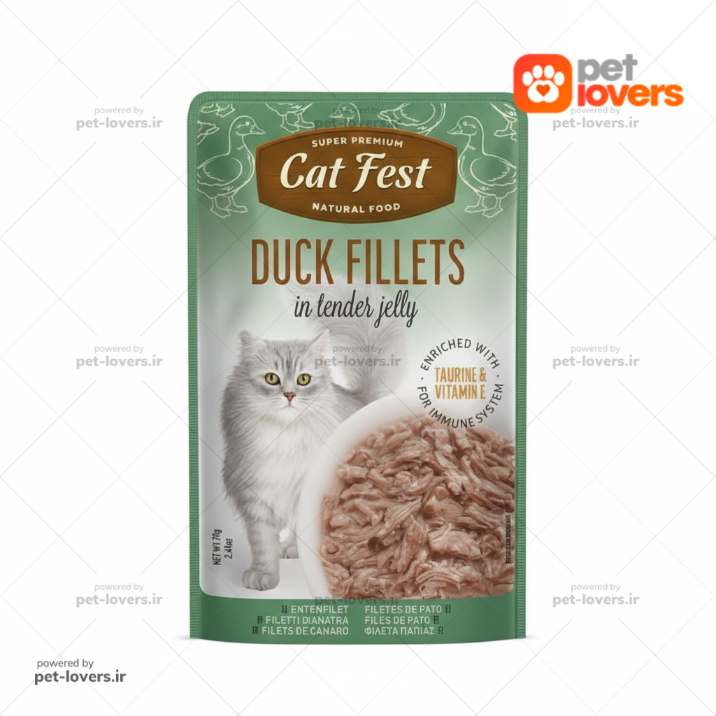 پوچ گربه طعم فیله اردک کت فست Cat Fest وزن ۷۰ گرم