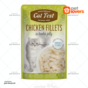 پوچ گربه طعم فیله مرغ کت فست Cat Fest وزن 70 گرم