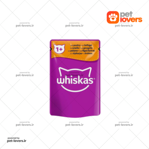 پوچ گربه مدل جونیور و کیتن با طعم اردک در ژله ویسکاس Whiskas وزن 85 گرم