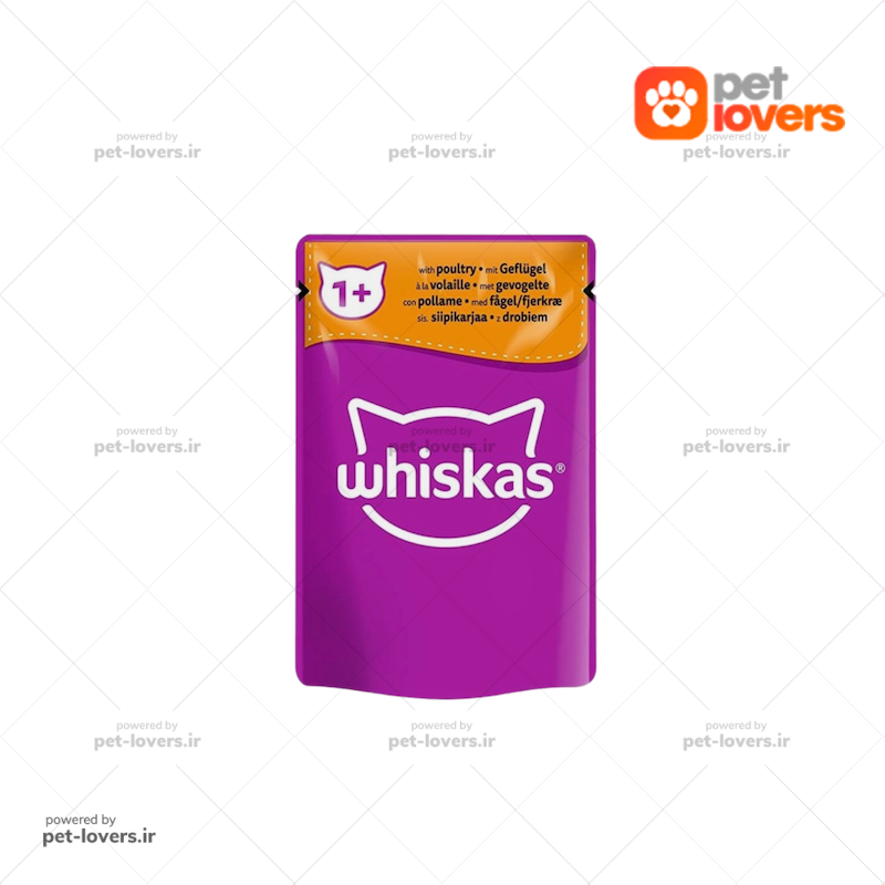 پوچ گربه مدل جونیور و کیتن با طعم اردک در ژله ویسکاس Whiskas وزن ۸۵ گرم