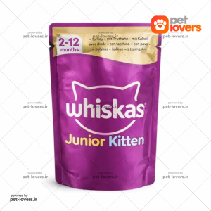 پوچ گربه مدل جونیور و کیتن با طعم بوقلمون در ژله ویسکاس Whiskas وزن 85 گرم
