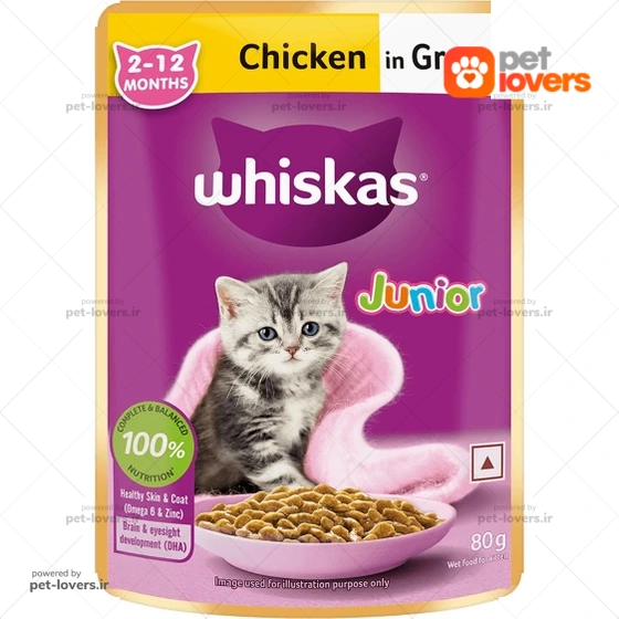 پوچ گربه مدل جونیور و کیتن با طعم مرغ در ژله ویسکاس Whiskas  وزن ۸۵ گرم
