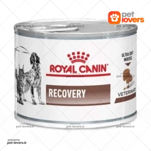 کنسرو غذای سگ بالغ مدل Recovery رویال کنین Royal Canin وزن ۱۹۵ گرم