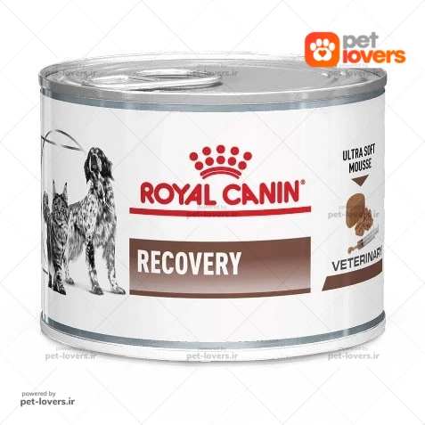 کنسرو غذای سگ بالغ مدل Recovery رویال کنین Royal Canin وزن ۱۹۵ گرم