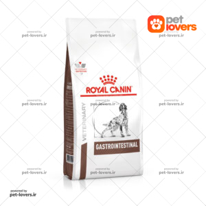 غذای خشک سگ گاسترو رویال کنین ROYAL CANIN Gastrointestinal وزن 2 کیلوگرم