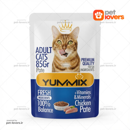 تشویقی گربه بالغ طعم مرغ یومیکس YUMMIX وزن ۸۵ گرم