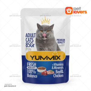 تشویقی گربه بالغ طعم گوشت و مرغ یومیکس YUMMIX وزن 85 گرم