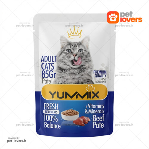 تشویقی گربه بالغ طعم گوشت یومیکس YUMMIX وزن ۸۵ گرم