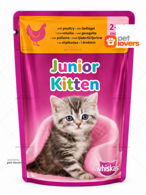 پوچ بچه گربه طعم مرغ رسمی ویسکاس Whiskas وزن ۸۵ گرم