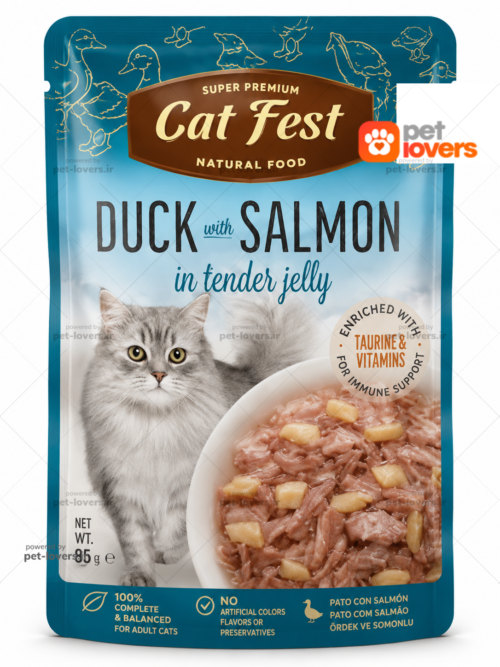 پوچ گربه با طعم اردک و سالمون در ژله کت فست Cat Fest وزن ۷۰ گرم
