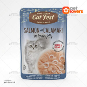 پوچ گربه با طعم سالمون و ماهی مرکب در ژله کت فست Cat Fest وزن 70 گرم