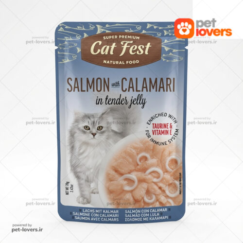 پوچ گربه با طعم سالمون و ماهی مرکب در ژله کت فست Cat Fest وزن ۷۰ گرم