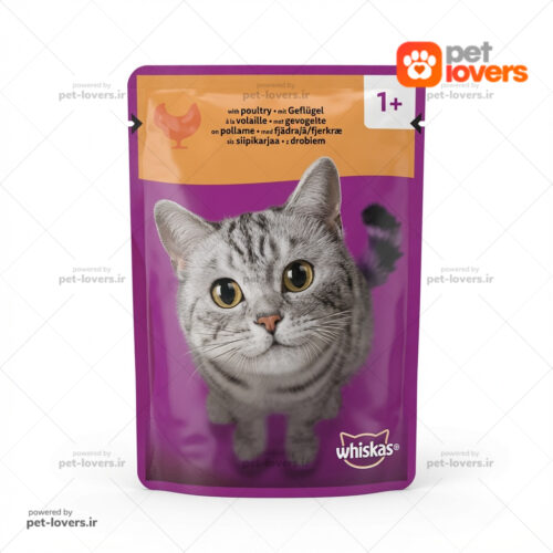 پوچ گربه بالغ طعم مرغ رسمی ویسکاس Whiskas وزن ۸۵ گرم